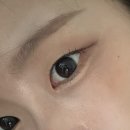 다비치렌즈 마이피픈 디크 벤티 블랙 내돈내산 후기 🐈‍⬛🖤