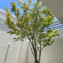 바람의언덕 호텔&리조트 이미지