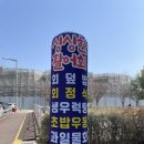 청춘회 물회 이미지