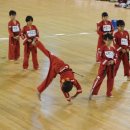 화랑체육관(태권도) 이미지