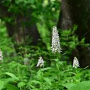 알봉 둘레길 이미지