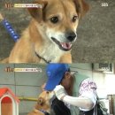 동물농장 서울신문