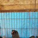 주생면 상동마을 이미지