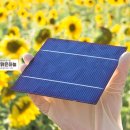 하늘땅 태양광발전소 이미지