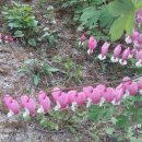 하계미성아파트.을지병원 이미지