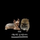 연희동물의료원 이미지