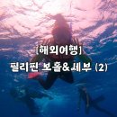 둥구리 | [해외여행] 필리핀 보홀&amp;세부 (2) 호핑투어 고래상어 보는날 / 졸리비 메뉴 후기