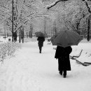 눈과 함께 이미지