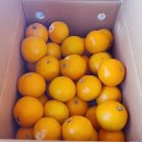 거산농장 이미지