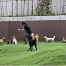 남서울정보통신 이미지