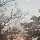 송파공인 일반 행정사사무소 이미지
