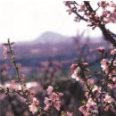 도원쉼터 이미지