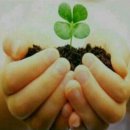 작은행복 이미지