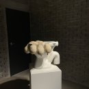 유성구 청소년수련관 3층(우) | [제주/전시] 아라리오 뮤지엄 후기 (탑동시네마)