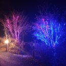 고운힐링팜 이미지