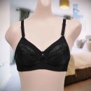 에스란제리 이미지