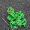 혜성 | “하수구 막힘은 절대 미루지 마세요 – 거제 혜성설비 후기”