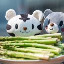 강원특판 이미지