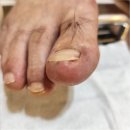 네일다움 이미지