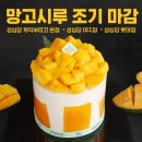 시루 티스토리