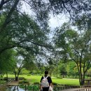 구갈레스피아 이미지