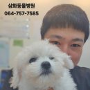 표선동물병원 이미지