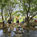 아이-정원 이미지