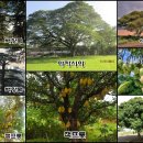 야곱 염소농장 이미지