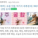 대운에너지 | 사주아이 사주 후기! 990원으로 과거부터 대운까지 확인해봤어요 (내돈내산)