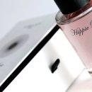 이리스(IRIS) 이미지