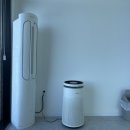 굿나잇도그 이미지