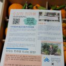 수상한집