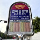 양산LPG충전소 | 울산 태화 신복 김해공항 가는법 리무진버스 시간표 요금 총정리