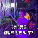 경기도 가볼만한곳 아이와 광명동굴 테마파크 입장료 할인 및 후기