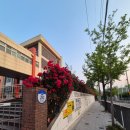 대전중리초등학교 이미지