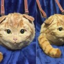 가방위에 고양이 이미지