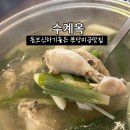 돌마초등학교 후문 | 분당 미금 맛집 몸보신하기 좋은 닭한마리 전문점 수계옥