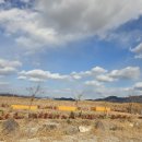 순천만짱둥어마을 이미지