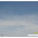 대한민국6.25참전유공자회 철원군지회 | [철의 삼각지대 전투 전몰장병] 추모비제막식