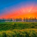 죽동마을 이미지