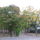 명륜동-10 이미지