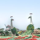 (주)다원코리아 | 태안 튤립축제 기간 입장료 할인 주차장 현지인 맛집 추천까지 태안 세계튤립꽃박람회 총정리!