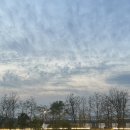 페이스오프 | 용리단길 데이트코스 추천 피자 맛집 페이스오프 솔직 후기 🍕 | 서이추 환영!