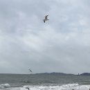 두발카페&욕장과자점