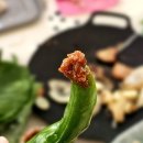 반석전자 | 광양 옥룡계곡 평상대여 반석민박 | 시원한 숲속 물놀이 장소