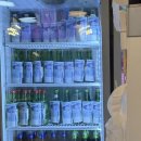 대화위더스타워 | 거북섬 숨은 냉삼 맛집 '금성식당' 찐후기