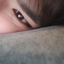 감각의요일