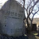 교래자연휴양림야영장 이미지