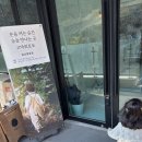 토토김밥 | 아기 체험 수업 후기💚 고마워토토 일산향동점