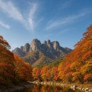 대웅모텔 | 🍂 오늘은 보은으로 떠나볼까요